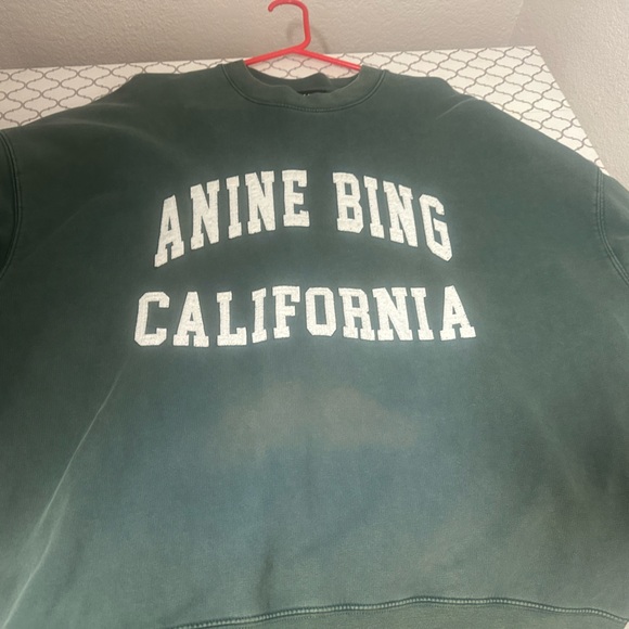 Anine Bing “Miles” Green Crewneck oversized distressed - Picture 15 of 15